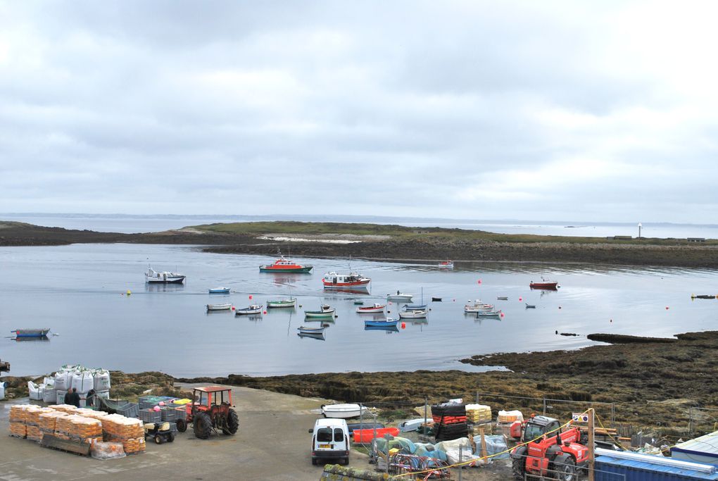 Une superbe petite île au large du Conquet. Une réserve de contrastes et de lumière.