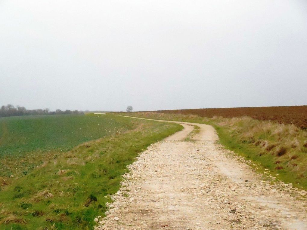 Rando santé "Le tour de Véel depuis Fains"