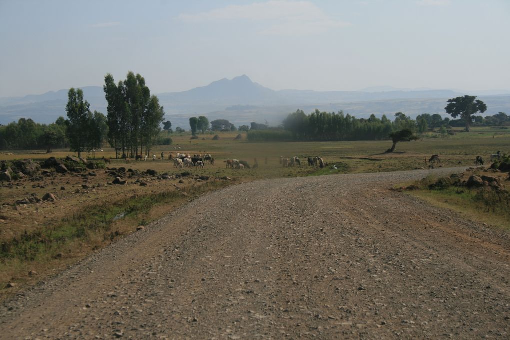 Bahar Dar, Lac Tana et Gondar, Nord-Ouest.