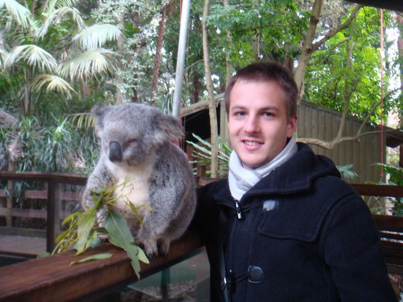 Album - The Koala Park