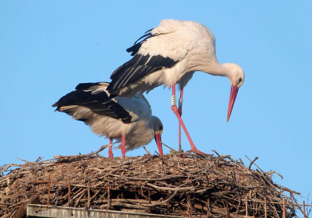 Balade au parc naturel du Méjean près de Montpellier.