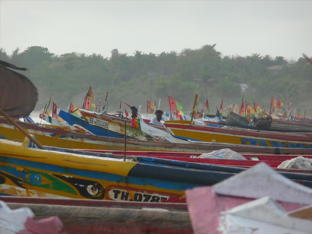 Album - La casamance