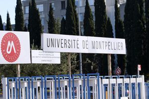 Université : Montpellier première au monde en écologie