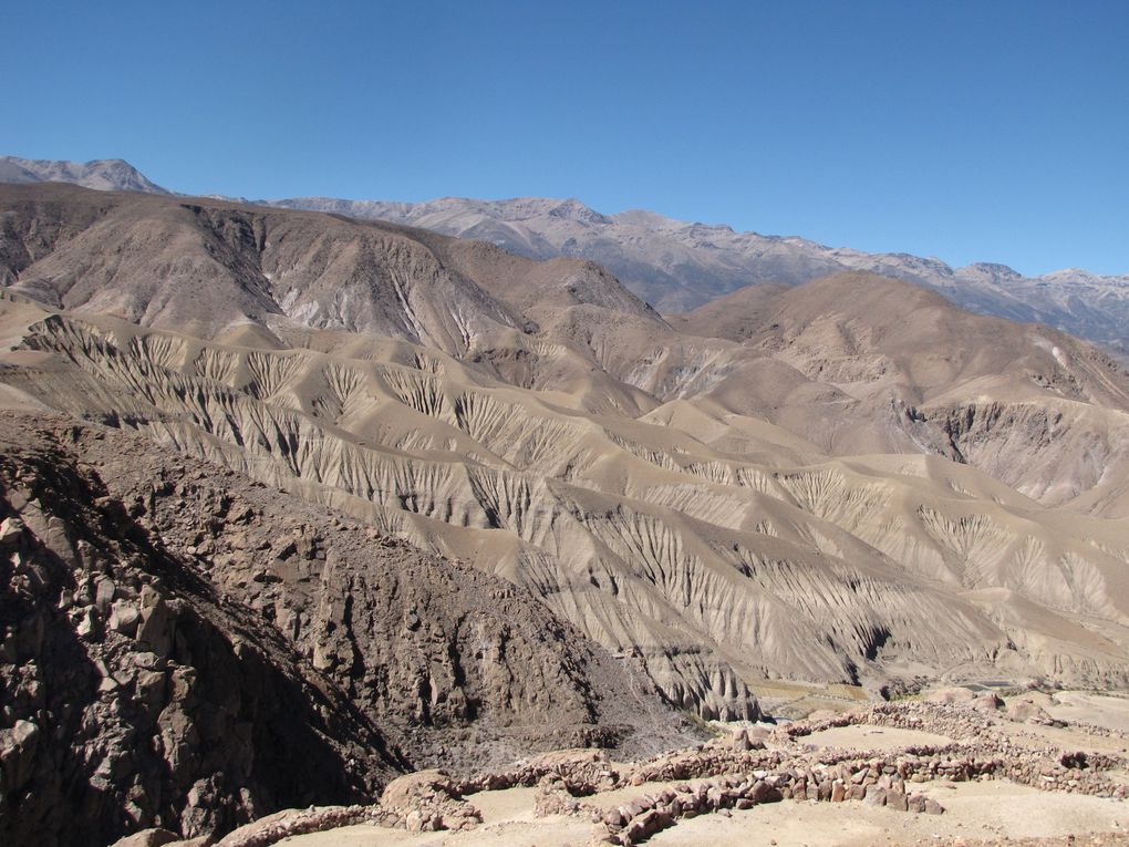 Voyage de trois jours dans la ville la plus au nord du Chili et dans l'Altiplano, jusqu'à 4.500 mètres d'altitude