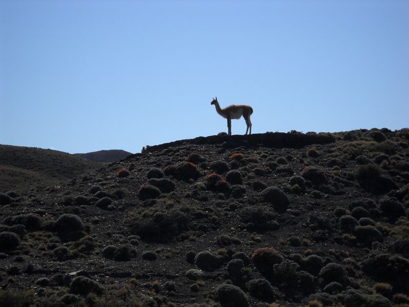 Album - Parc Torres del Paine