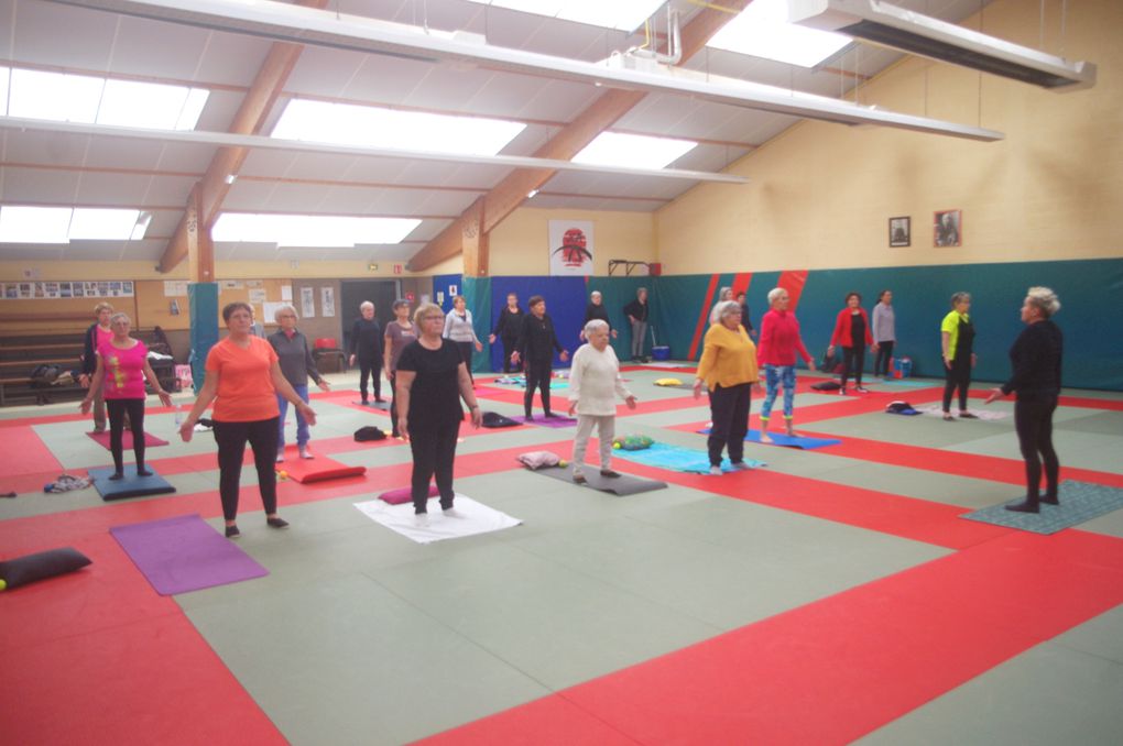 De la gym, de la gym et encore de la gym...