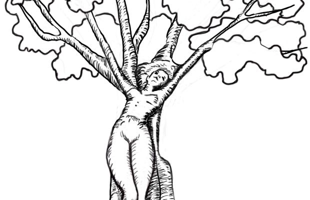 dessin " la femme arbre"