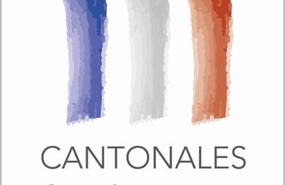 Liste des candidats aux élections cantonales de mars 2011 sur le Canton de Pavilly