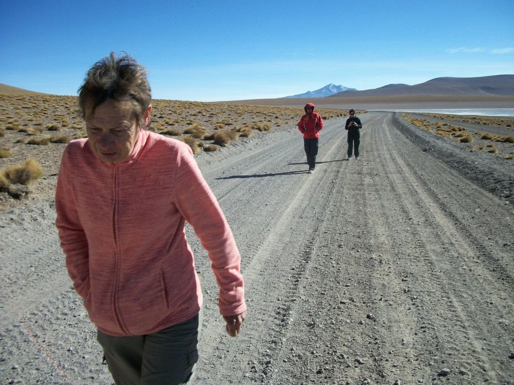 lama à Quetena Chico, laguna verde et le volcan Licancabur (Chili), désert de Dali ,repas à aguas termales de nouveau au retour, geysers,passage glacé à 5200m,   laguna colarada et ses flamants....zorro (renard),  Villa mar dodo.......