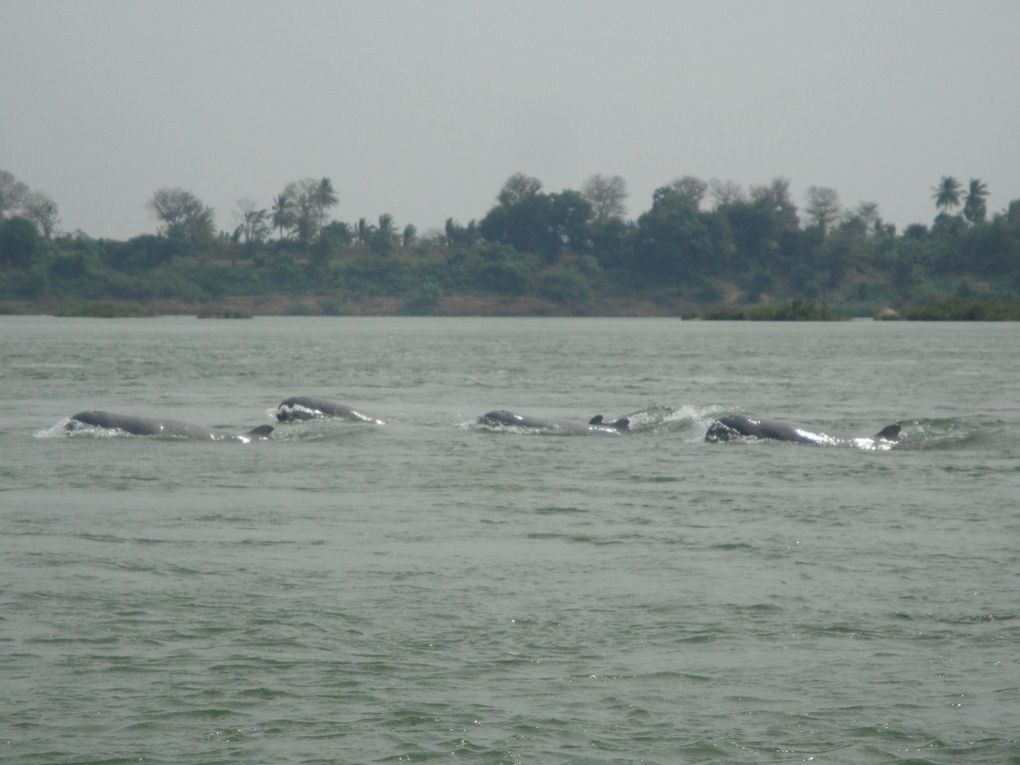 Album - Cambodge-3