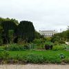 Jardin des plantes de Paris