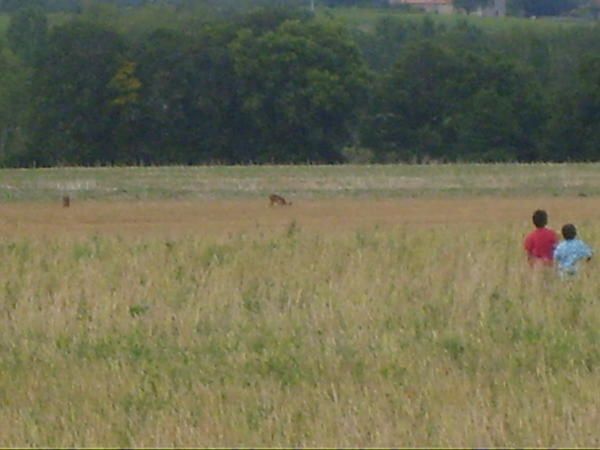 La suite des aventures de l'instinct chasseur en images