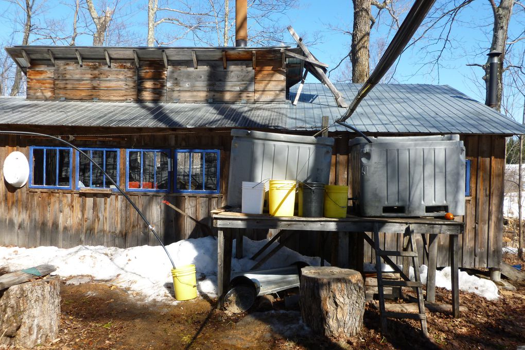 Album - La-cabane-a-sucre-chez-Mario