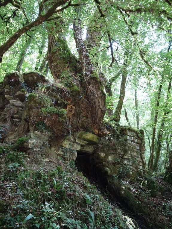 Bernatère et ses cascades via Salies-de-Béarn ( Pyrénées-Atlantiques 64 ) AA Rando