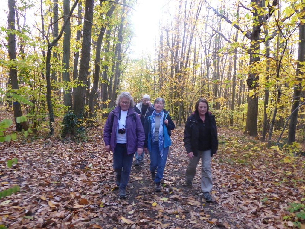 puis les Bois de Bures