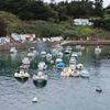 Un petit port de Noirmoutier !