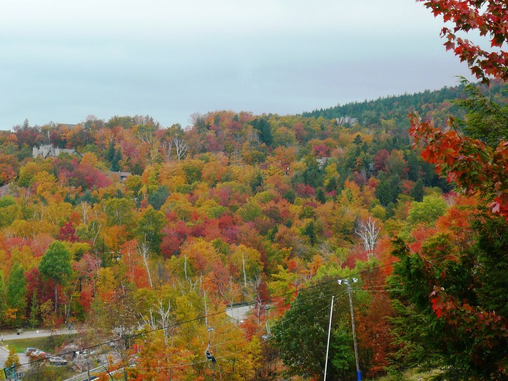 Album - Couleurs-d-automne