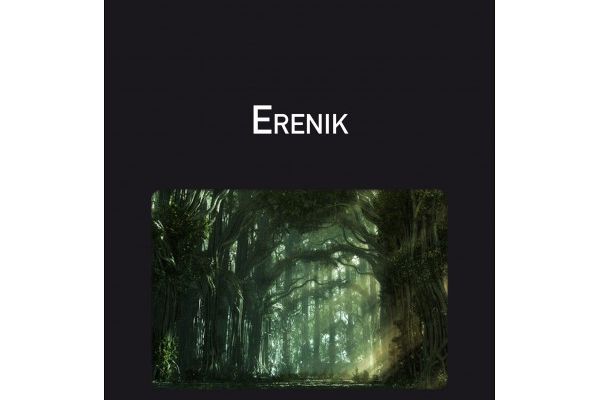 « Erenik » de Yannick Neuzillet. Les Éditions du Net