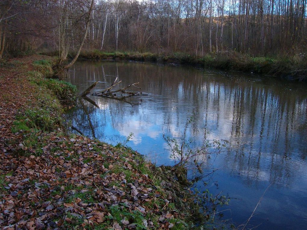 Voici quelques photos de mon parcours de pêche