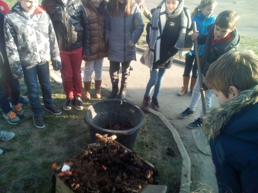 CM1 - Compost et papiers