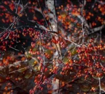  Mix – Michel Pépé 