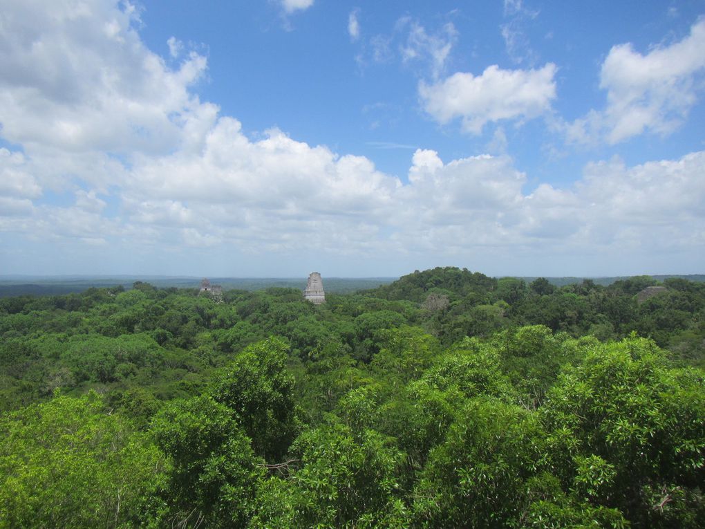 L'île de Florès et la cité de Tikal