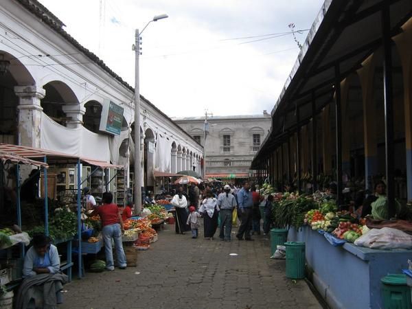 Album - 2 Ecuador 2006 Sierra