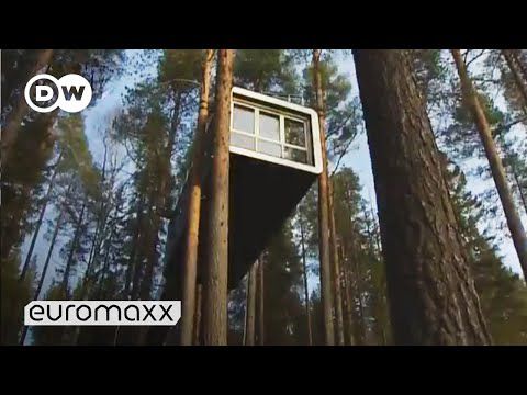 Designer Tree Hotel in Sweden | euromaxx