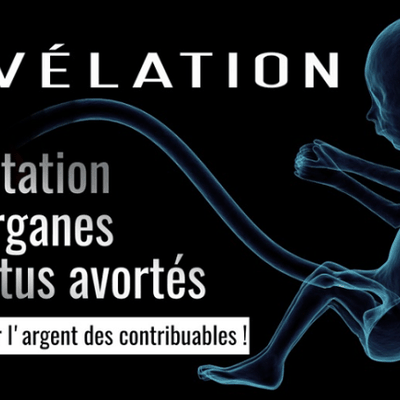 #Covid : Exploitation des organes de fœtus avortés : financée par l’argent des contribuables