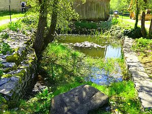 Marche Nordique douce au Lac Vert Vendredi 21 Avril