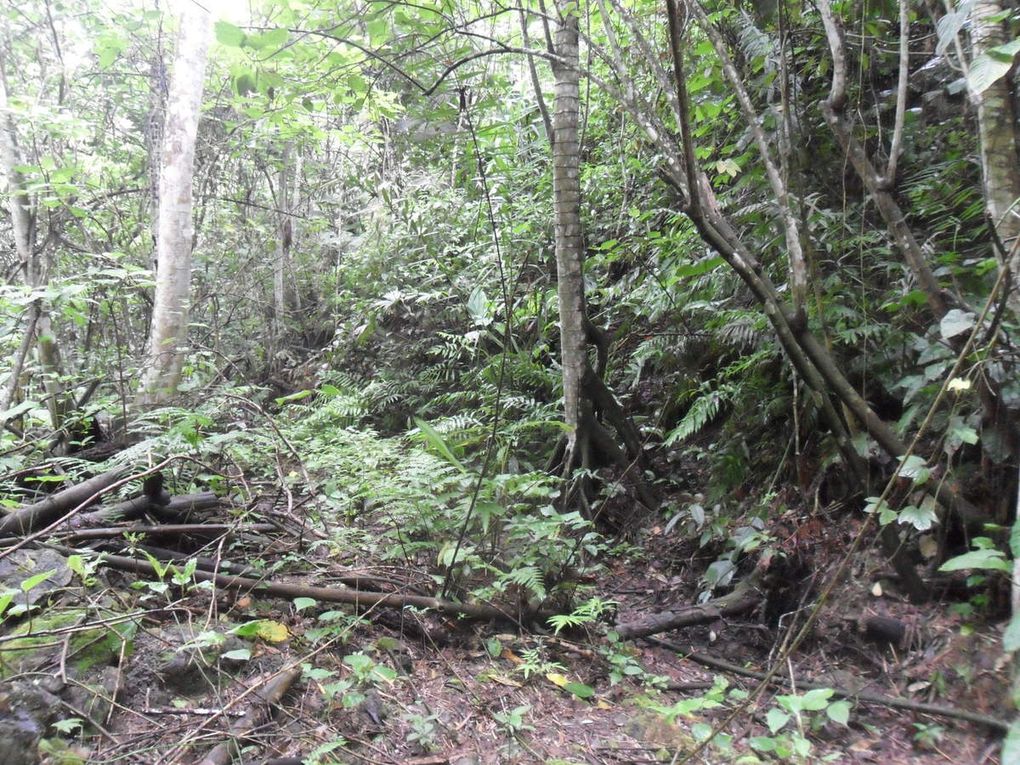 Bosque de Pacoche (28 septembre)