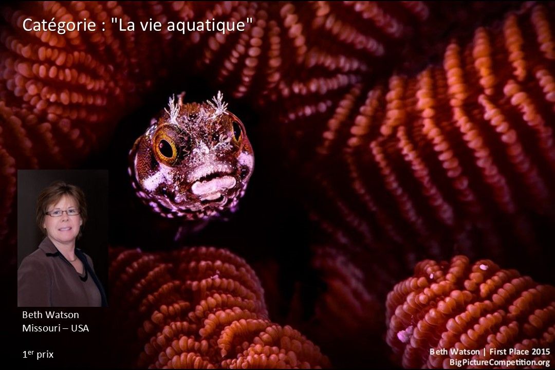 Divers - Concours photos - 1