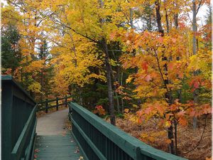 Souvenir de ce jour : 3eme et dernier jours au coeur de la Mauricie