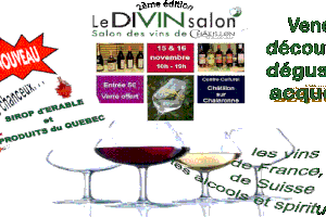 DIVIN SALON A CHATILLON S/CHALARONNE*