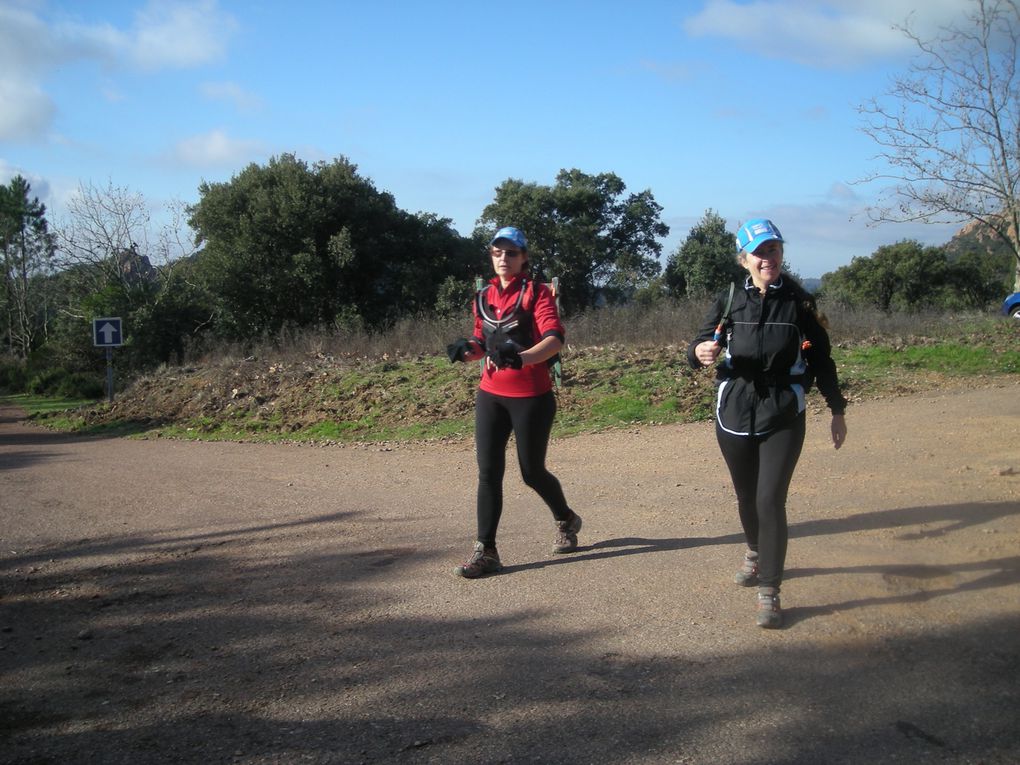 Album - Trail-off-de-l-Esterel-nord-16-01-11