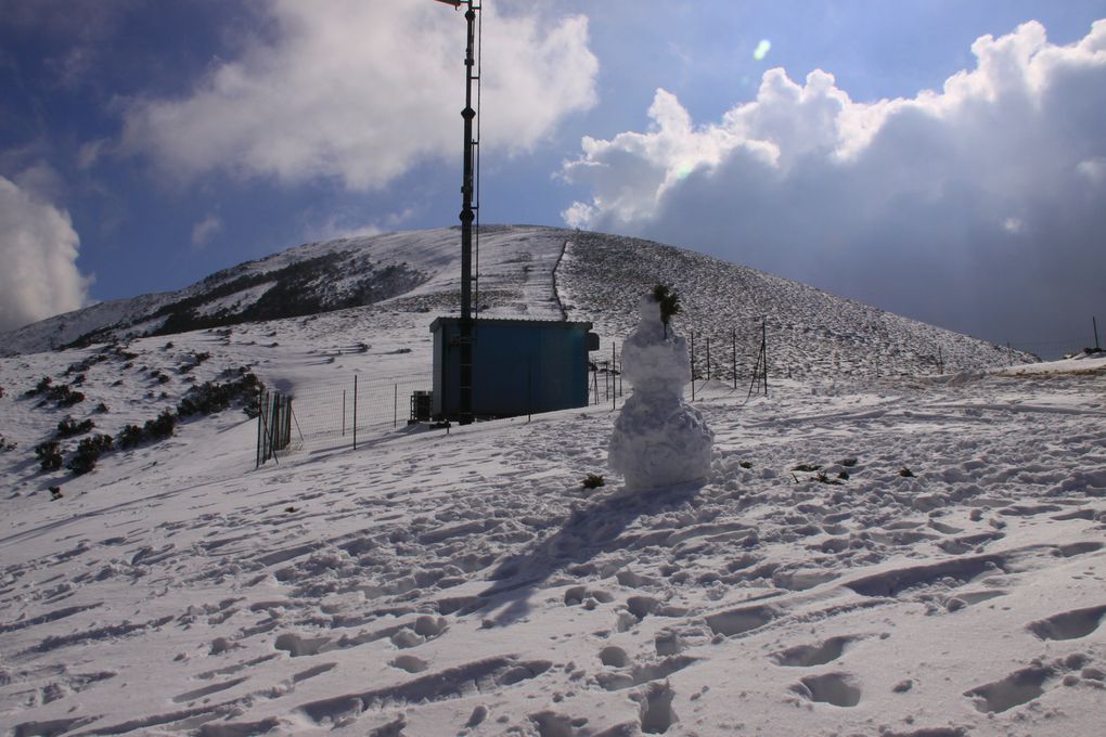 Album - linas-e-villacidro--neve-di-febbraio