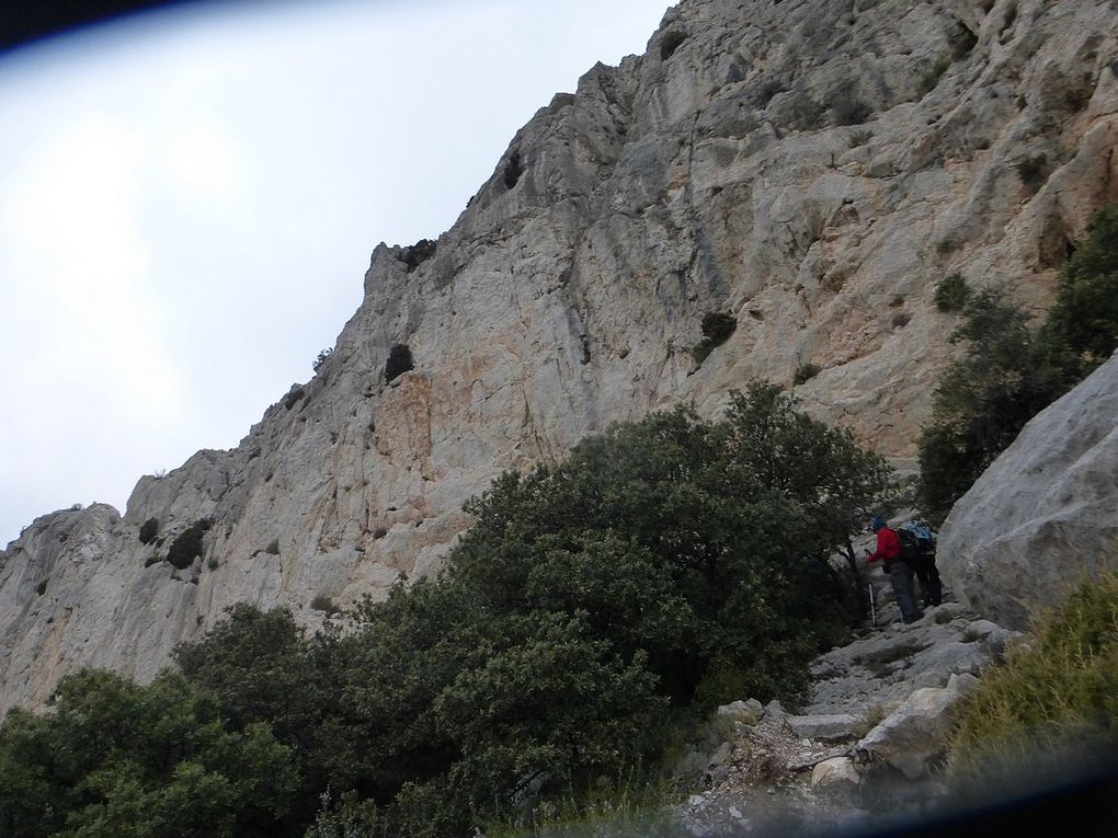 Lafare  Les Dentelles Sarrasines: Le 10 02 2019: Animateur Vincent R