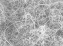 Des filaments de carbones sous la "nano-loupe"