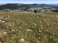 16 juin 2024 : la rando en Vercors