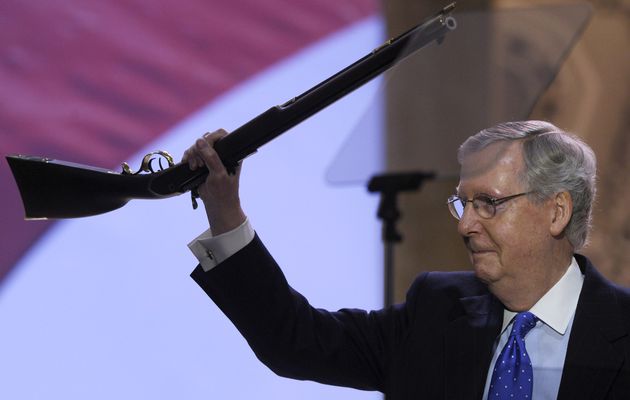 Meet The Newest American Running Mate: The Rifle...