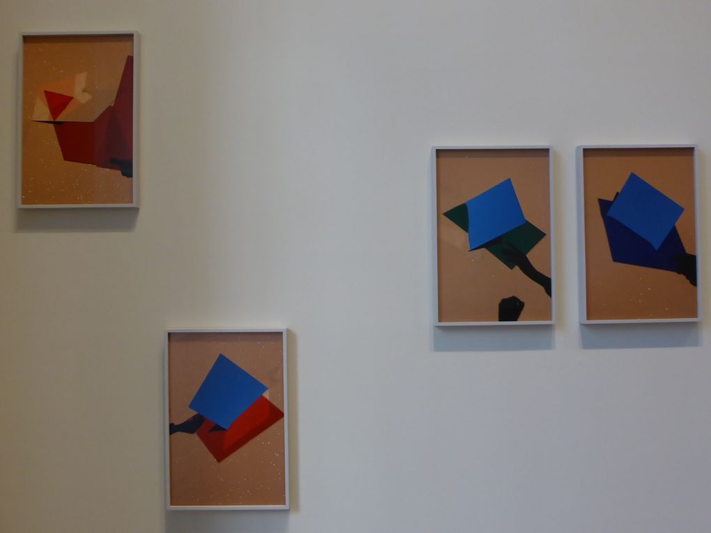 Vues de l'exposition Viviane Sassen│UMBRA, Atelier Néerlandais, Paris © Le Curieux des arts Gilles Kraemer, présentation presse, 10 septembre 2015 