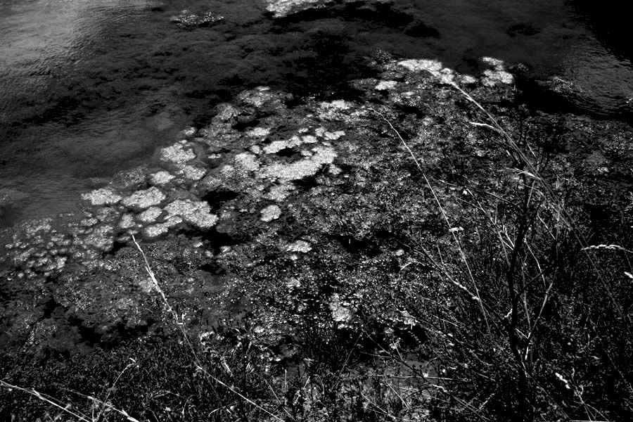 Album - Les Marais-salants de Guerande en noir et blanc