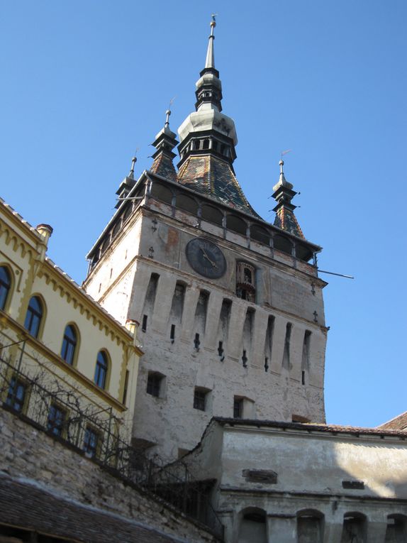 Sighisoara, le château de Bran et la mine de sel