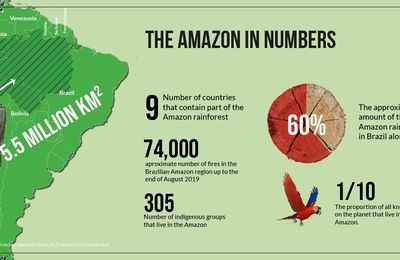 Les feux d'Amazonie : qu'est-ce que cela a à voir avec nous ? - Un explicatif