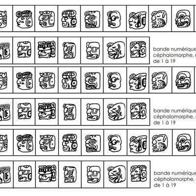 numération maya, bande numérique céphalomorphe