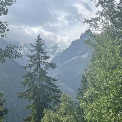 TMB jour 12 (dernière étape) : Trélechamps-La Flégère 