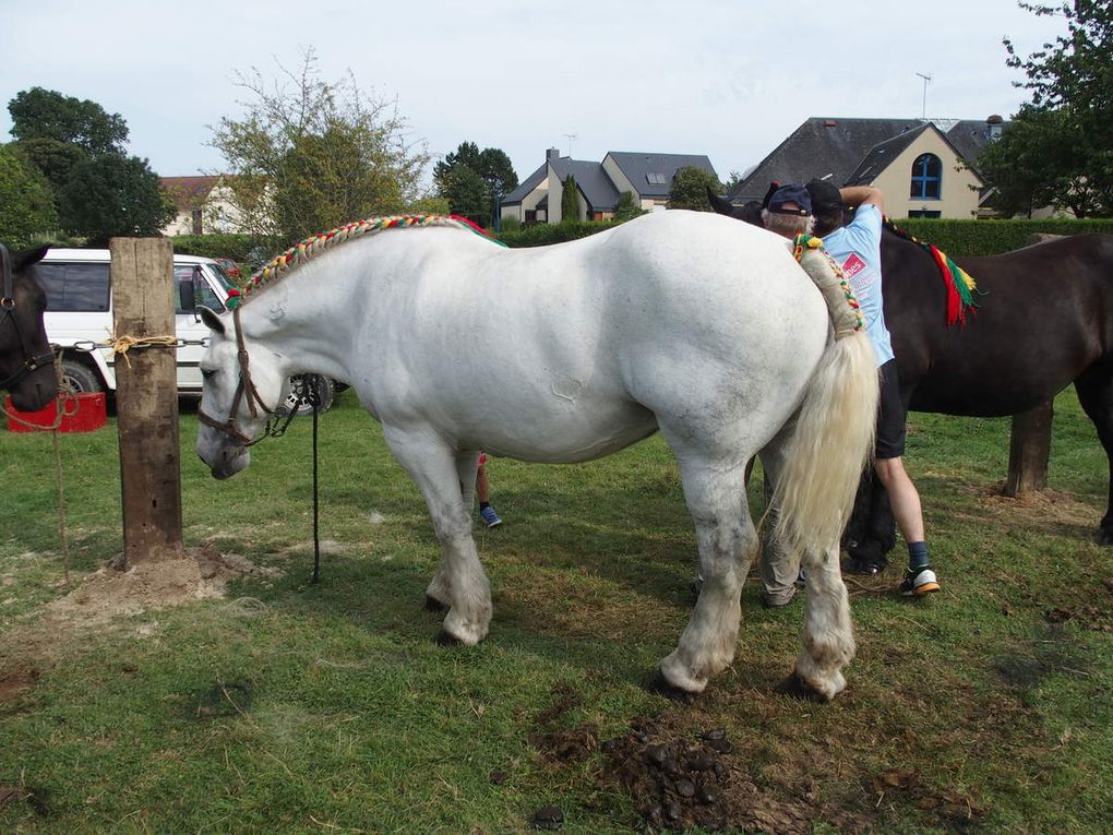 La foire-expo et le comice agricole cantonal le 30 aout à Pré-en-Pail.