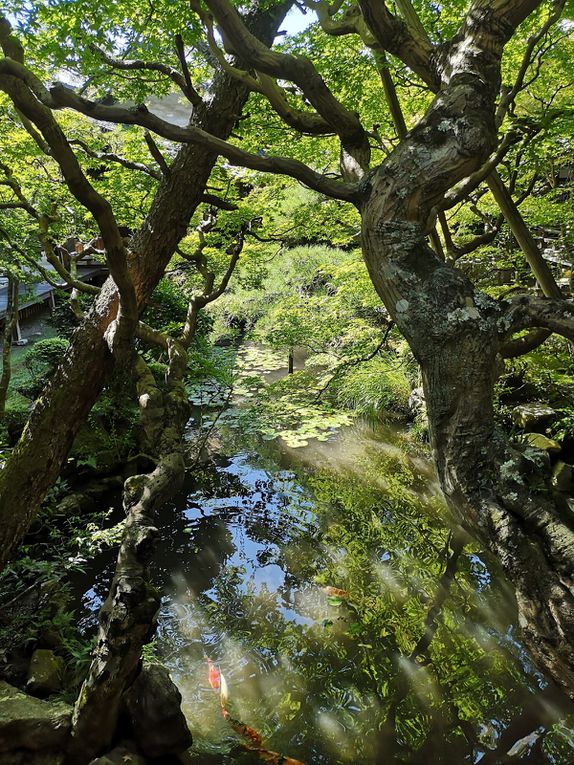 Une brève revue d'Histoire à Kyoto 