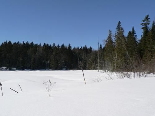 C'est beau l'hiver !