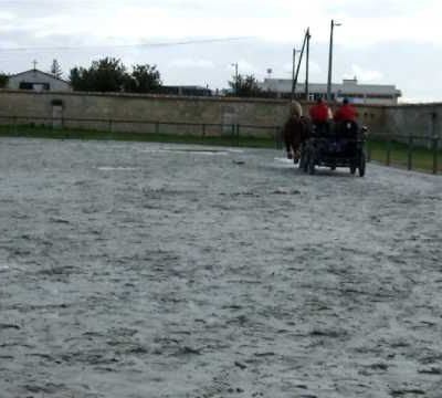 Attelage en paire : Deux traits bretons au galop ...